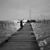 Dawn M Webster's profile image