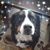 Murphy Wilber Christian's profile image