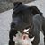 R Denice Brown-Sweeney's profile image
