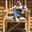 Litany Brown's profile image