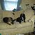 Cassaundra Green's profile image
