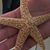 Lisa Mortimer Muehlig's profile image