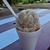 Laurie Fluegge DelaCruz's profile image