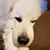 Joshua Werstler's profile image