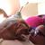 Ernestina Vera Hernandez's profile image