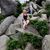 Shelley Black Davila's profile image