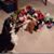 Lynda Freeland's profile image