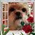 Mary Anderson's profile image