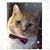 Louise Ara's profile image