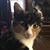 Keith Murphy's profile image