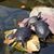 David NTerry Futcher's profile image