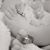 Adrienne N Derek's profile image
