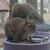 Gailann Melzer's profile image