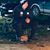 Segundero Palacios's profile image