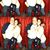 Lisa Taft Oakes's profile image
