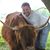 David Lupke's profile image