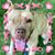 Amanda Scott's profile image