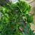 Missy Socha's profile image