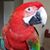 Ruth Dugan Czahor's profile image