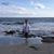 Ruth Ann Daquino Palmitessa's profile image