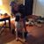 Kate Twardzik's profile image