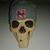 Mike Graham's profile image