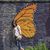 Lisa Downie McKnight's profile image
