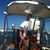 Marianne Berlando Marolo's profile image