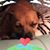 Gloria Erickson's profile image