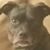 Lotus Stand's profile image
