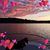 Lydia Lanier's profile image