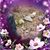 Beth Desrosiers's profile image