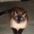 Bea Reale's profile image