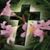 Candy Terry's profile image