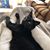Liz Edwards's profile image