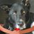 Cheryl Carmon's profile image