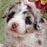 Mary Ann M.'s profile image