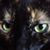 Jean Jennings Wells's profile image