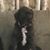 Cathy Spengler's profile image