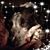 Marjorie Young's profile image
