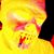 Deon McAfee's profile image