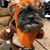 Julie Moscatelli's profile image