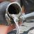 Dawn Morley Lopes's profile image