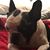Beth Goodfriend's profile image