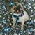 Julie Brown's profile image