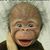 Doug Devine's profile image