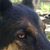 Alyce Lynn's profile image