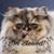 Mike Altschul's profile image