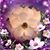 Terry Smith's profile image
