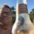 Steve Mills's profile image